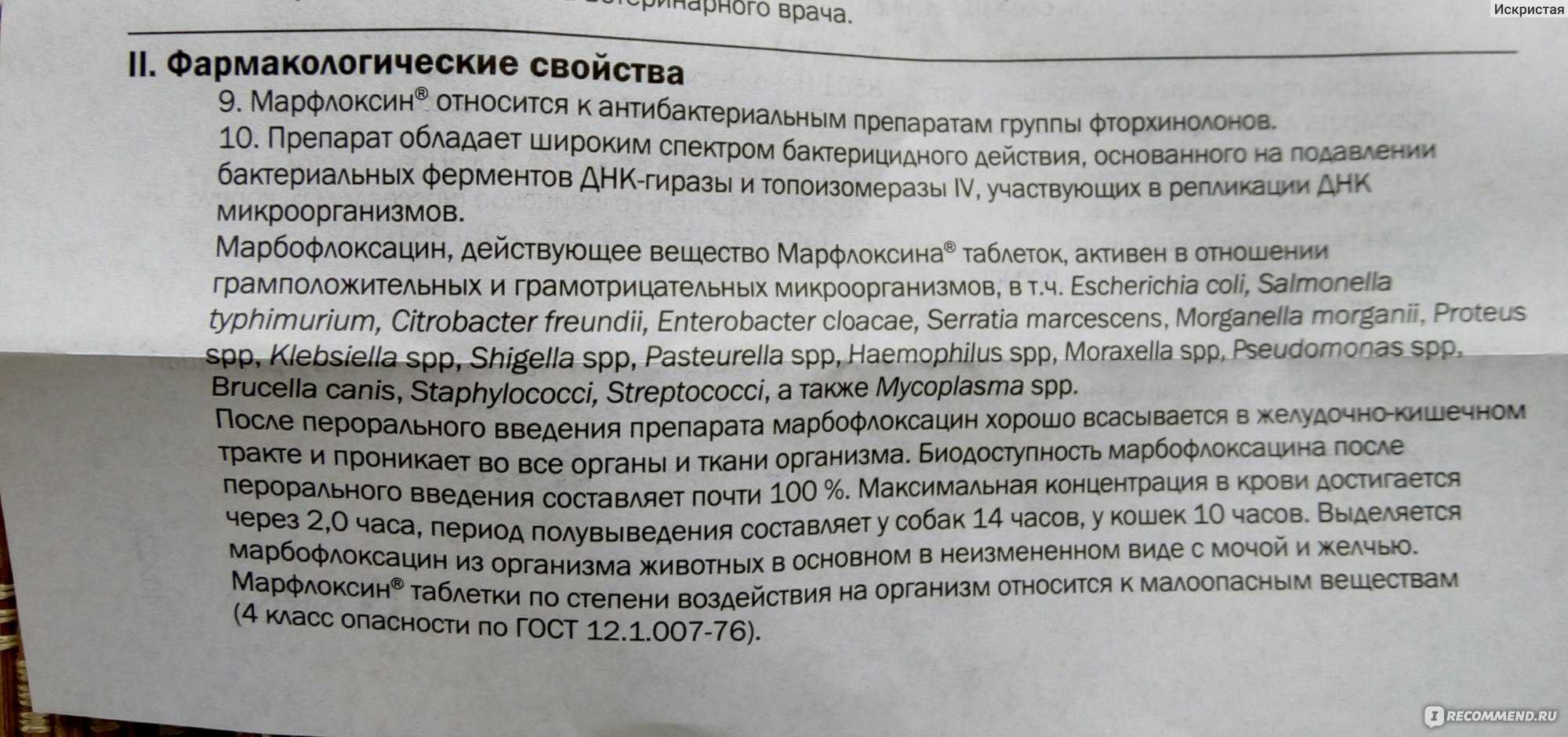 Марфлоксин для кошек: инструкция по применению, состав, дозировка, аналоги, отзывы