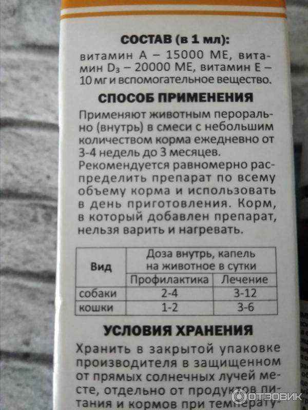 Пивные дрожжи для кошек: можно или нет, влияние на шерсть