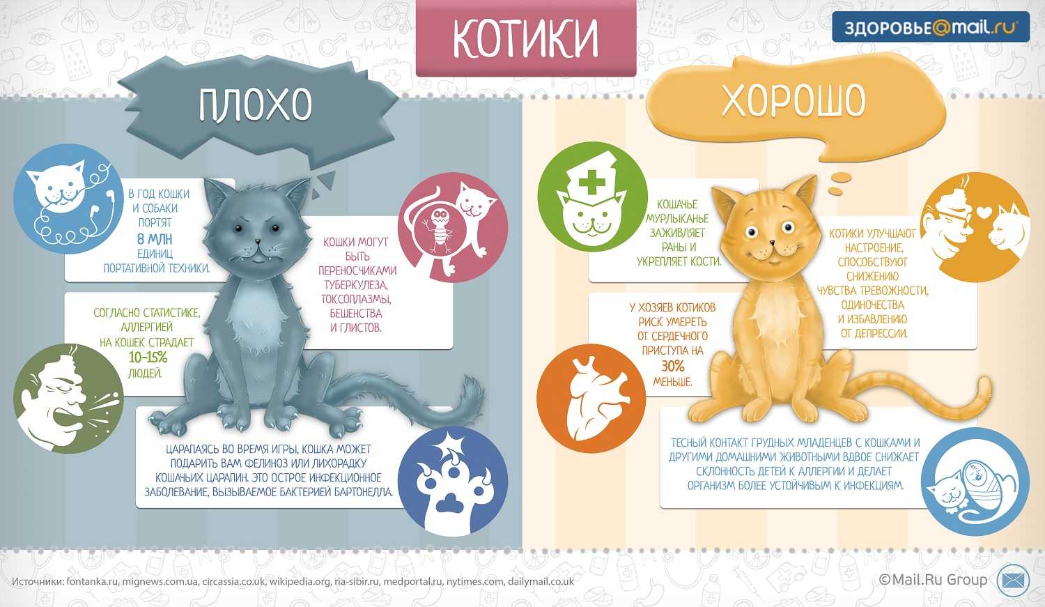 Описание домашней кошки: факты и информация о кошках