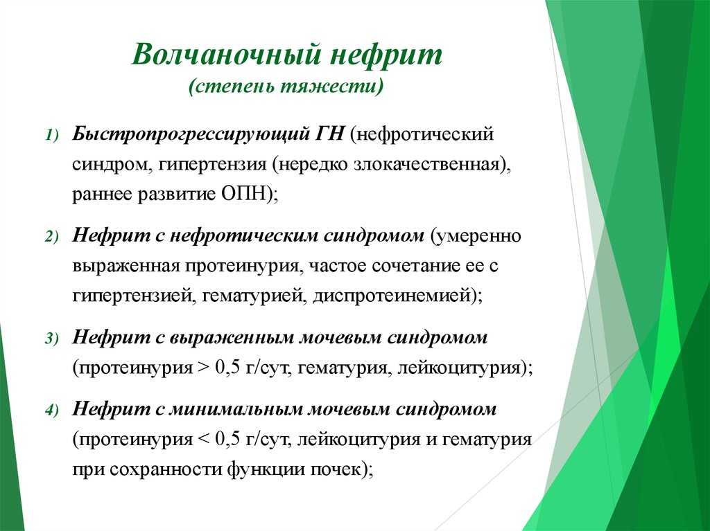 Нефрит у кошек: причины возникновения, симптомы, диагностика и лечение