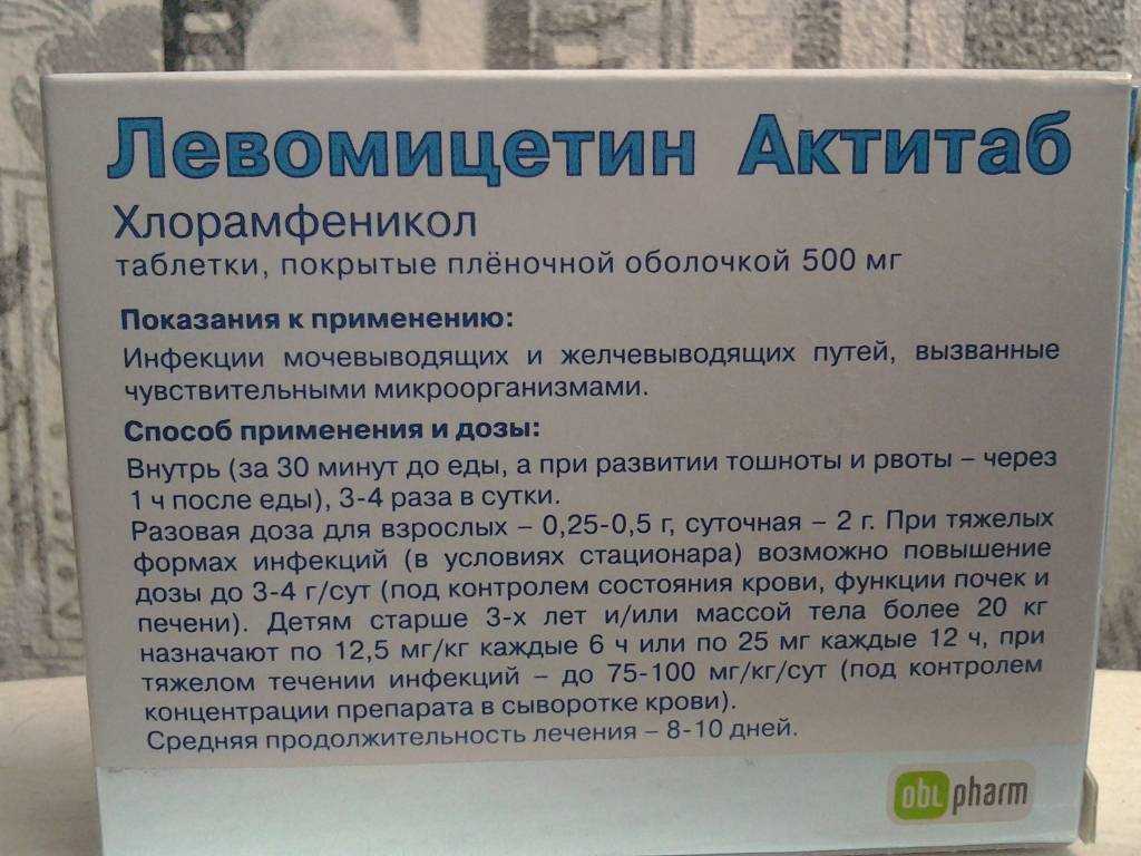 Левомицетин для кошек: инструкция по применению