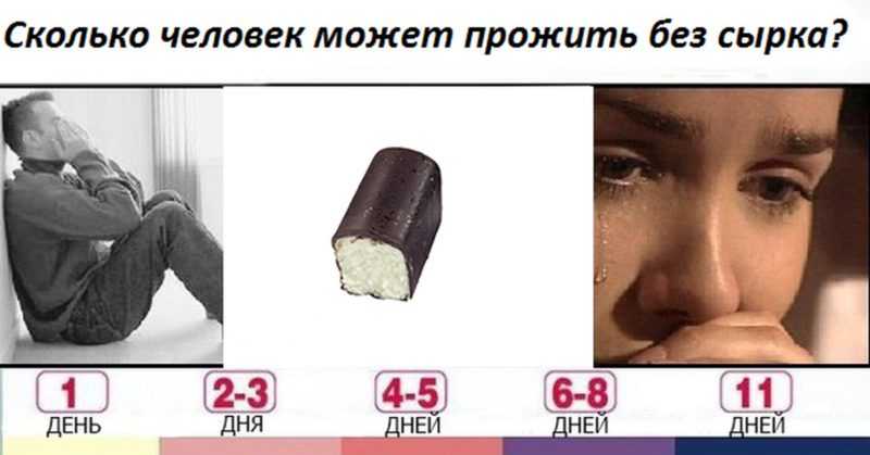 Как узнать, обезвожена ли кошка: 12 шагов