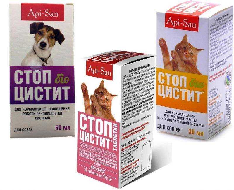 Цистон для кошек – от цистита и мкб
