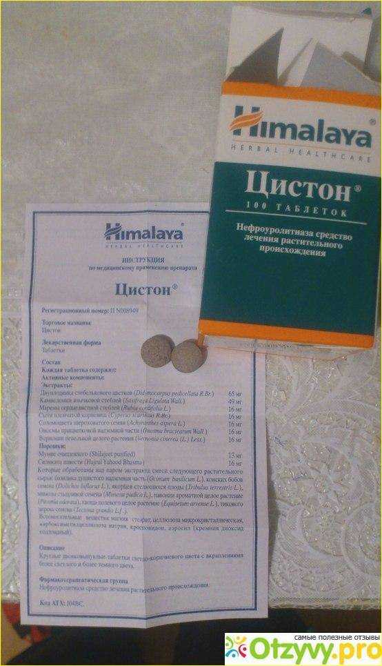 Мочекаменная болезнь у кошек: лечение, признаки, симптомы, диета, препараты, лечебный корм