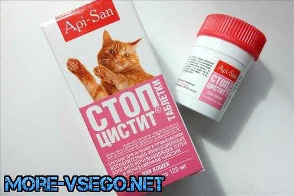Лечение цистита у кошек в домашних условиях