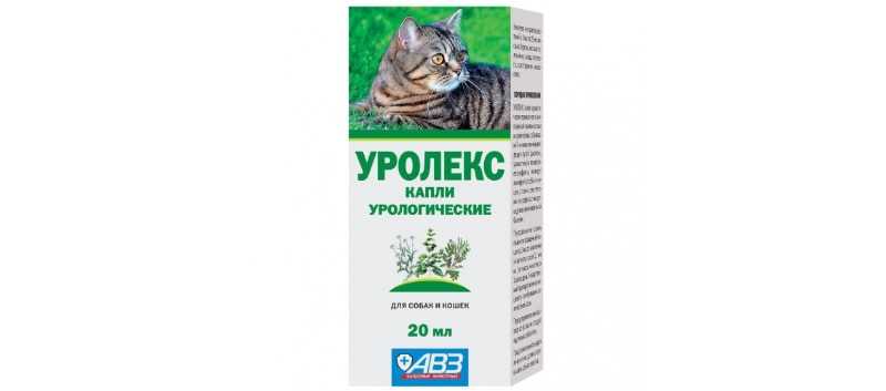 Уролекс для собак: инструкция по применению, состав и схема лечения