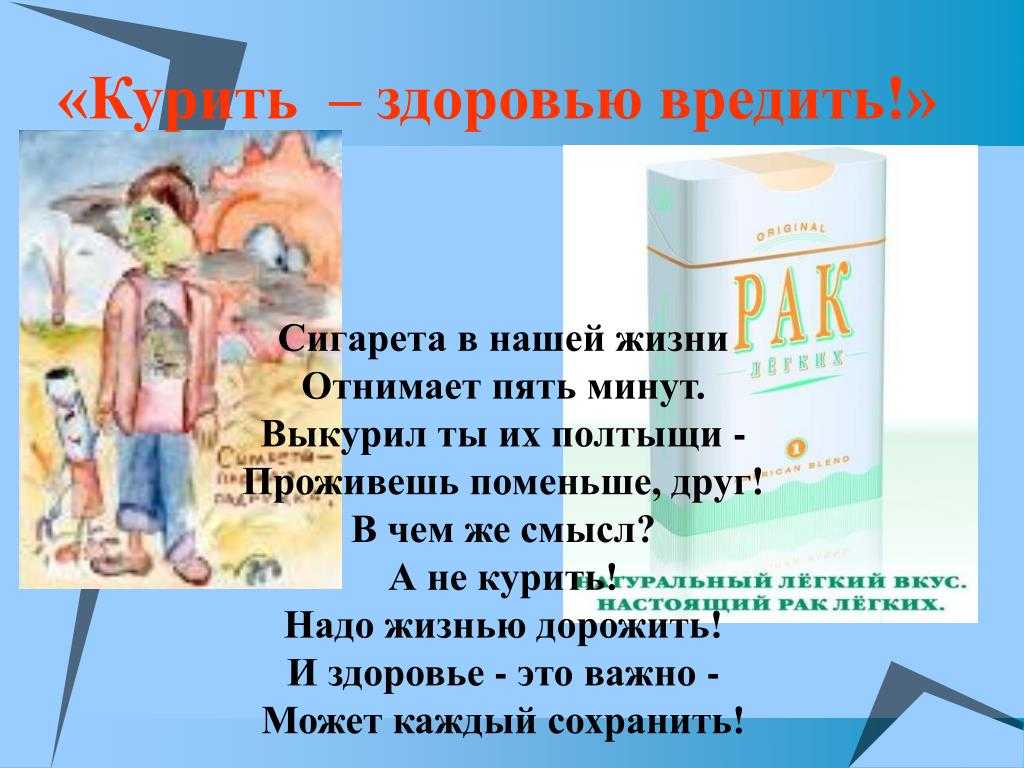 Вреден ли табачный дым для кошки