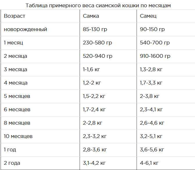 Вес шотландского котенка по месяцам с рождения (таблица)
