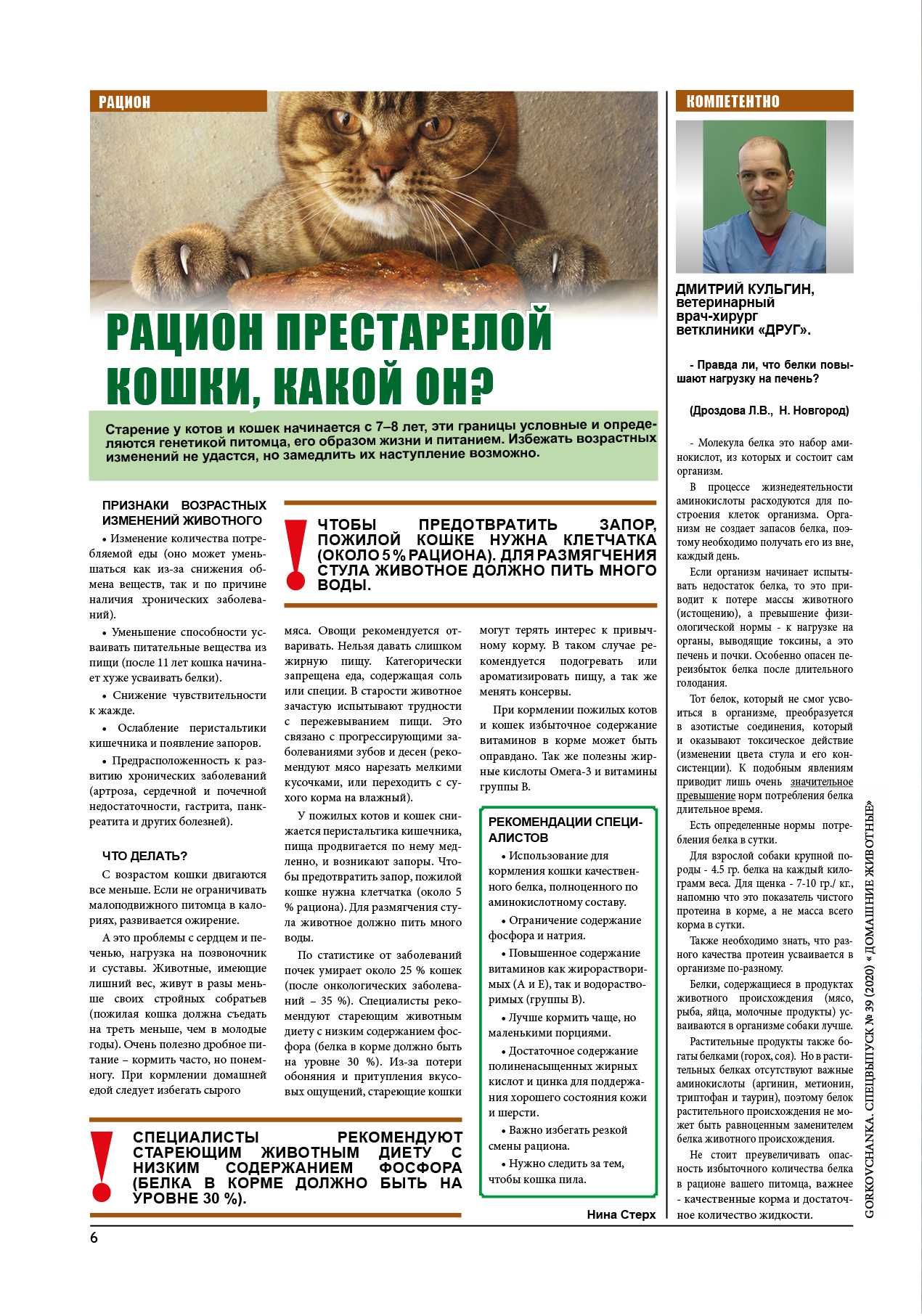 Чем кормить старую кошку: полезные советы