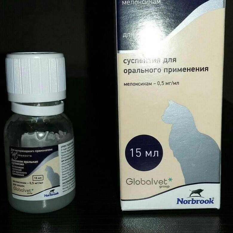 Маалокс для кошек и собак инструкция по применению 
маалокса в ветеринарии состав лекарства дозировка отзывы