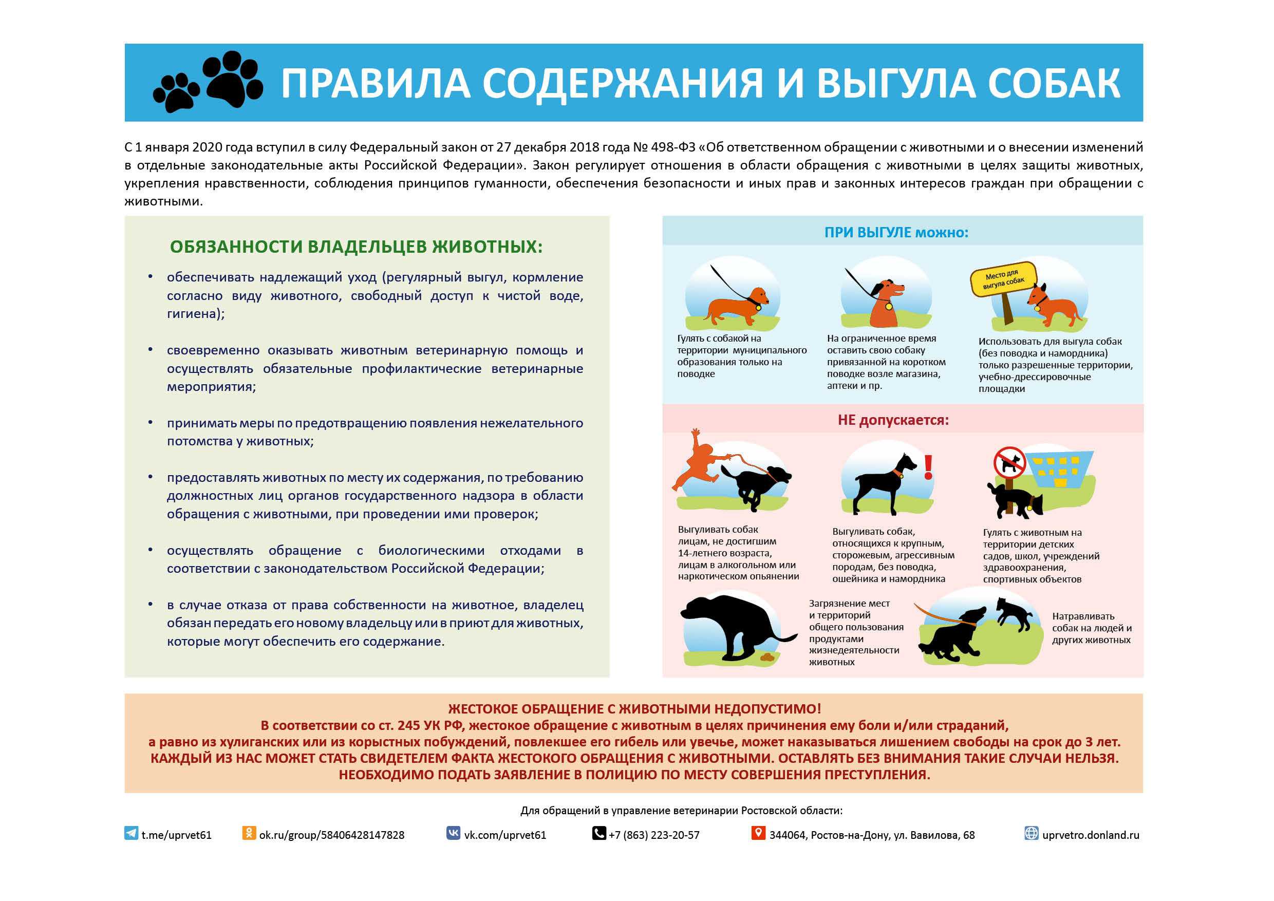 Когда кормить собаку – до или после прогулки
