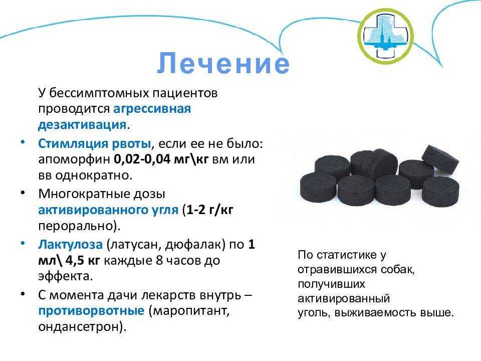 Можно ли собакам давать активированный уголь: дозировка, побочные эффекты