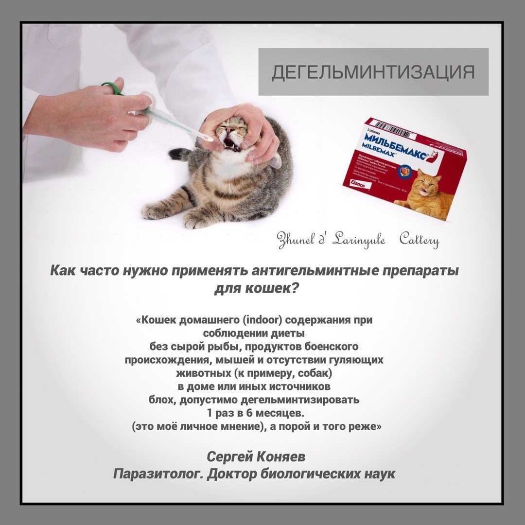 "инспектор квадро табс", инструкция, + противопоказания