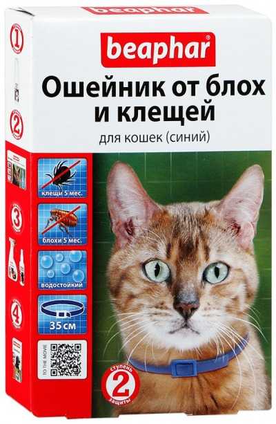 Ошейник от блох для кошек и котят