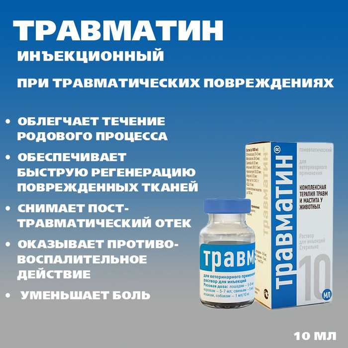 Травматин для кошек - всё самое важное о препарате | ваши питомцы