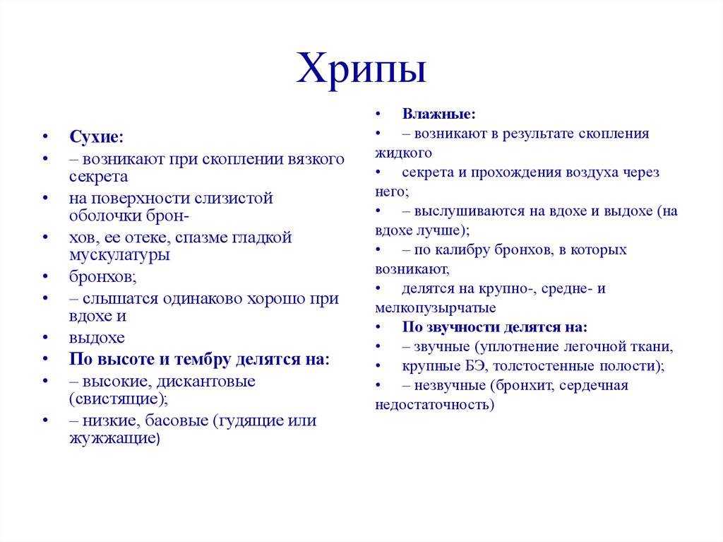 Как вылечить сопли у собаки должен знать каждый владелец