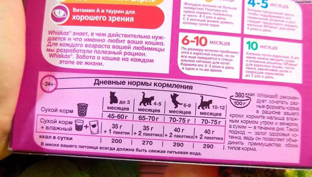 Нормы еды для кошек в сутки