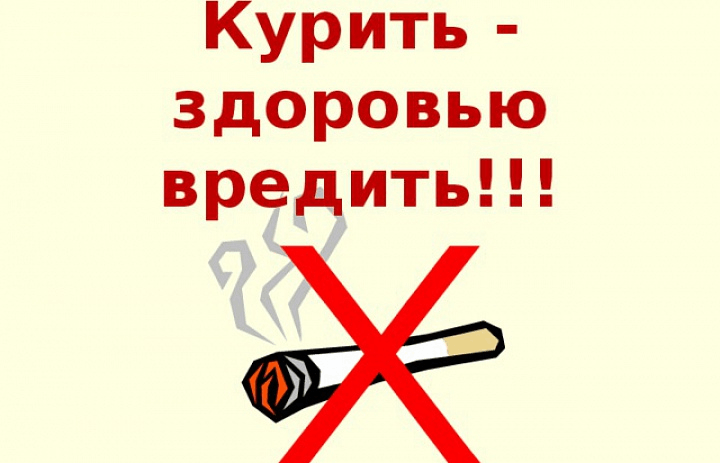 Кошка и табачный дым: примирение невозможно