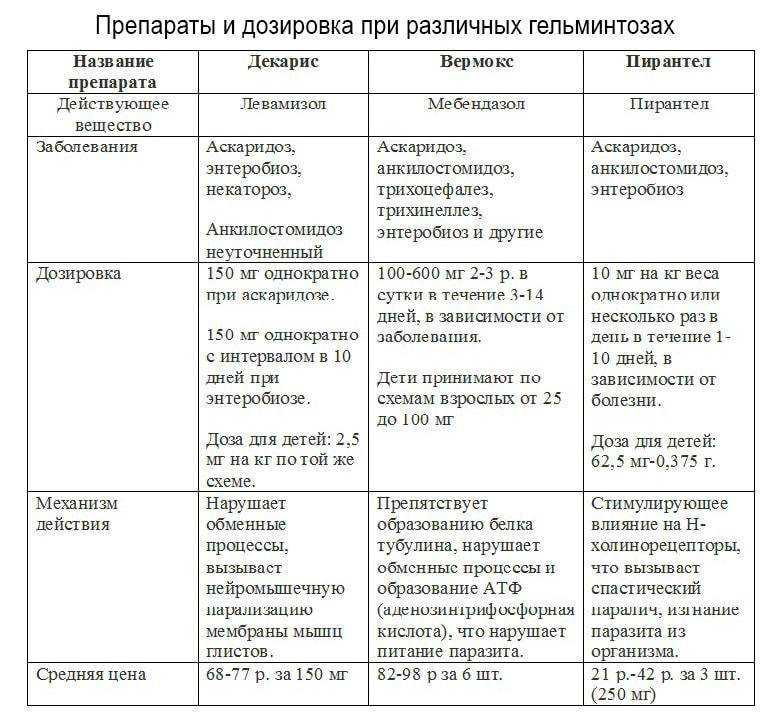 Глисты у кота: симптомы, лечение, профилактика