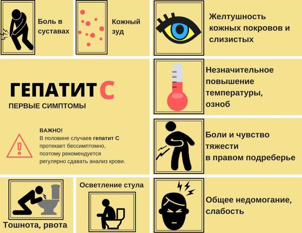 4 симптома холангита у кошек
