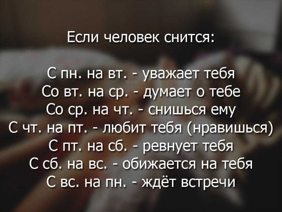 Во сне видеть кошку и собаку сонник - толкование снов