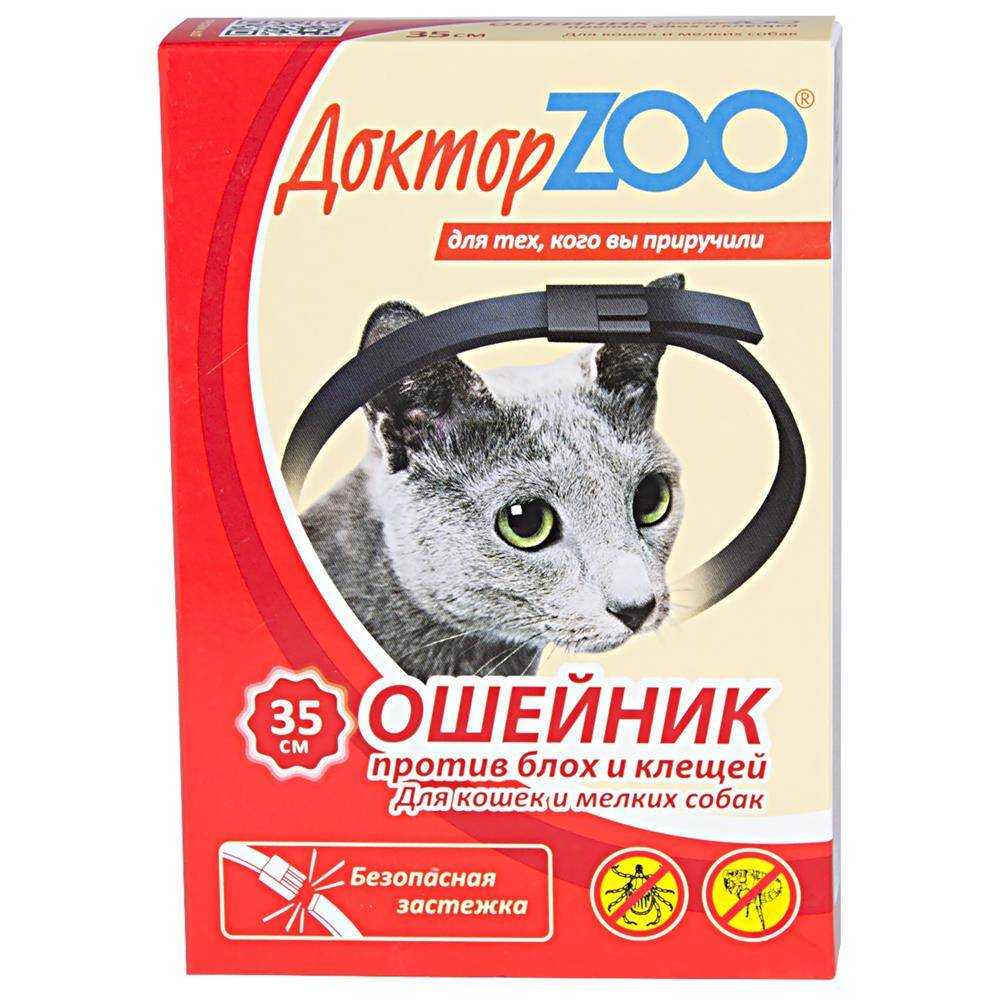 Как действует ошейник от блох для кошек и котят, с какого возраста одевать?