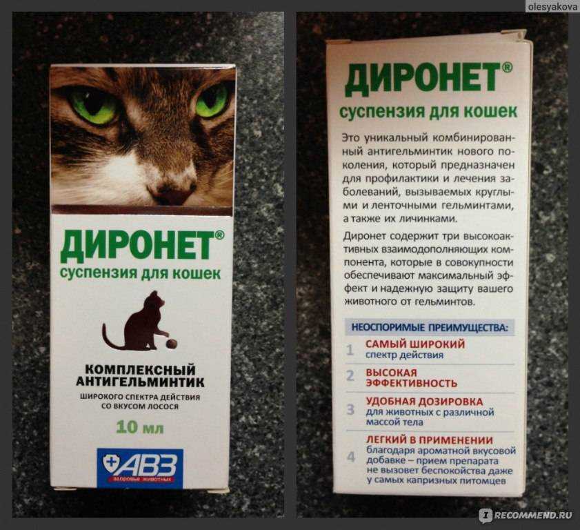 Диронет для кошек (капли спот-он, таблетки, суспензии): инструкция по применению, отзывы