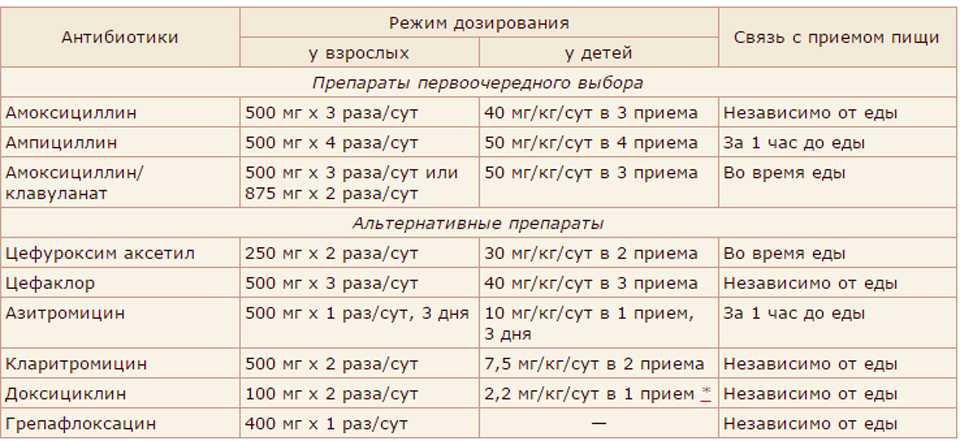 Амоксициллин для кошек инструкция по применению