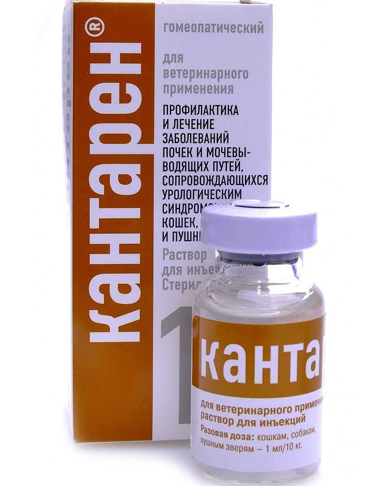 Когда назначают кошкам кантарен?