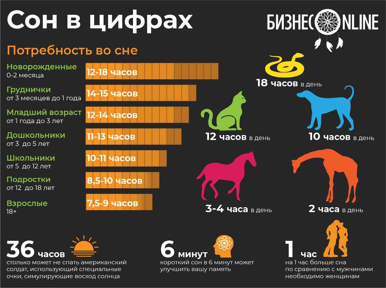 Сколько спят кошки и собаки в сутки