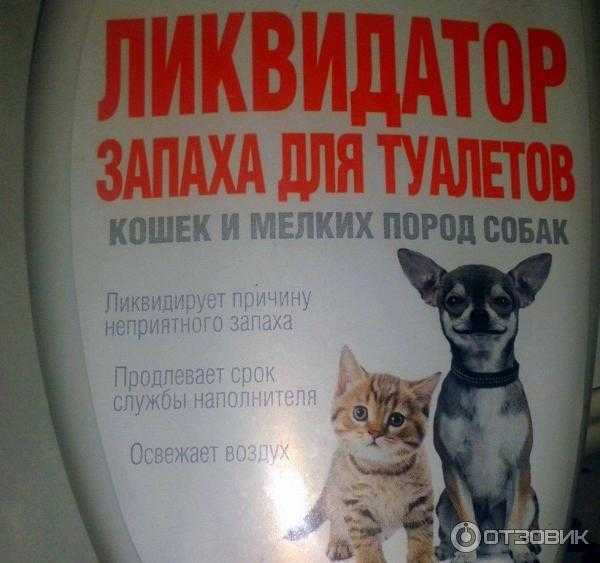 Как избавиться от запаха кошачьей мочи