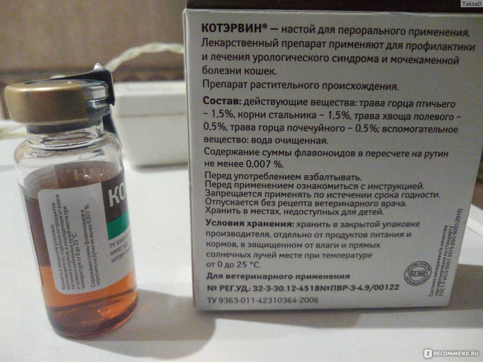 Котэрвин: лечение урологического синдрома и мочекаменной болезни у кошек