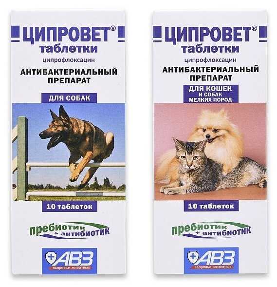 Ципрофлоксацин для кур: когда и как применять