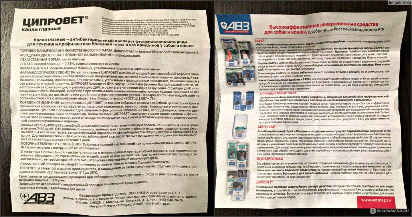 Ципровет для кошек: инструкция по применению и отзывы владельцев