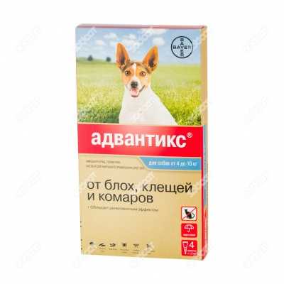 Адвантейдж для кошек: инструкция по применению