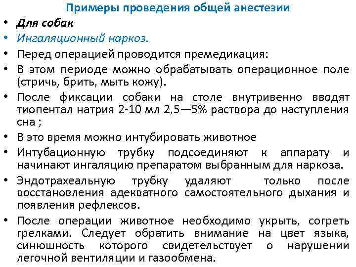 Восстановление кобеля после кастрации: советы врача