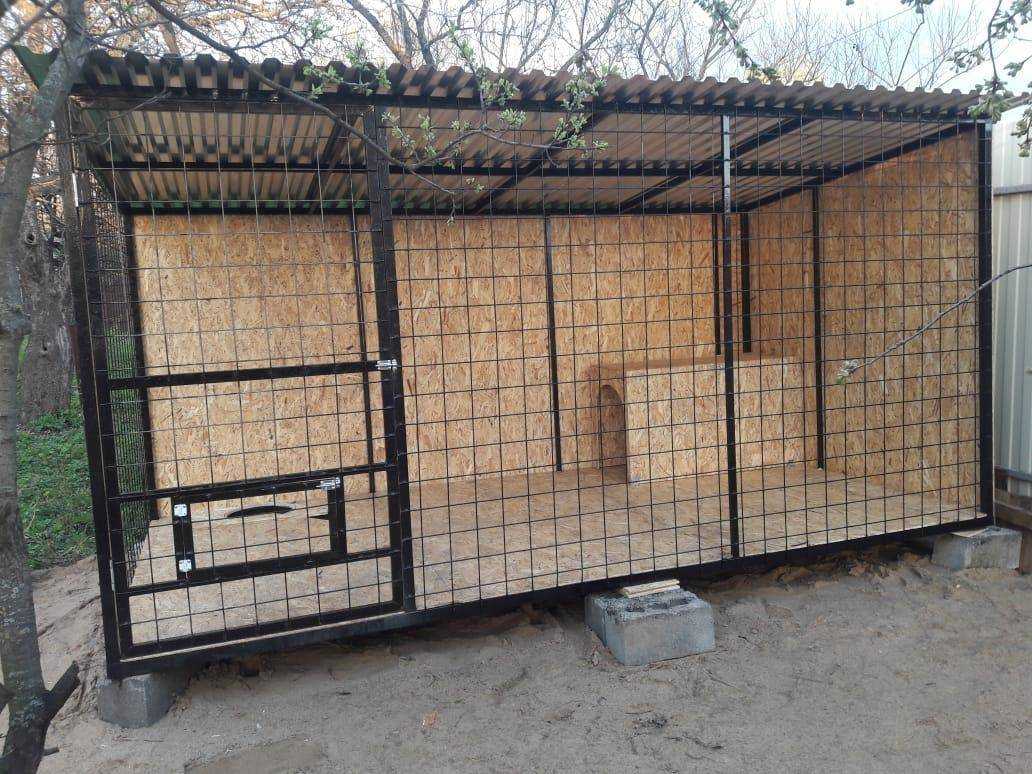 Беспокойное поведение собаки: причины и методы устранения