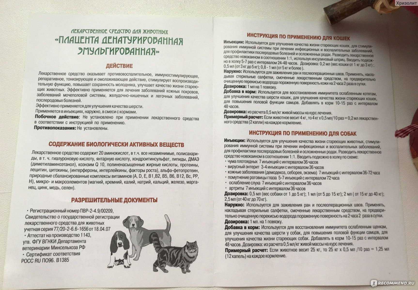 Имаверол для кошек: инструкция по применению