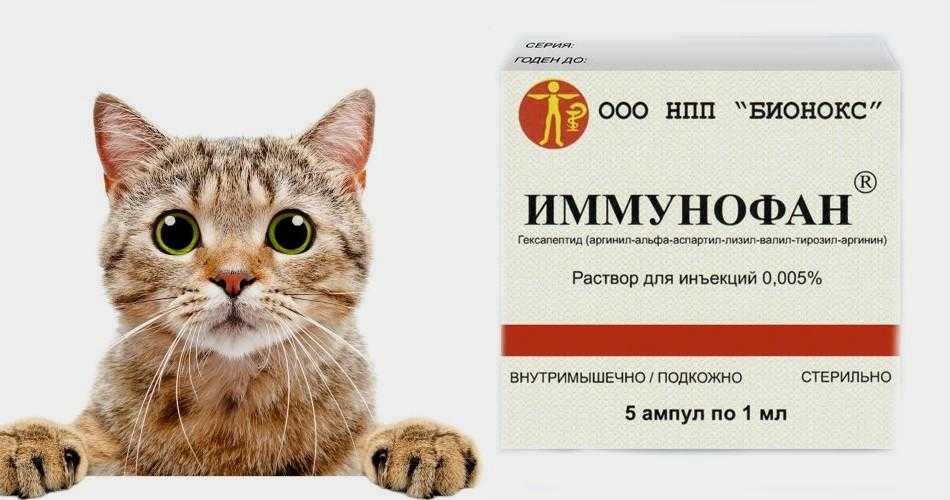 Имунофан для кошек: инструкция по применению, отзывы