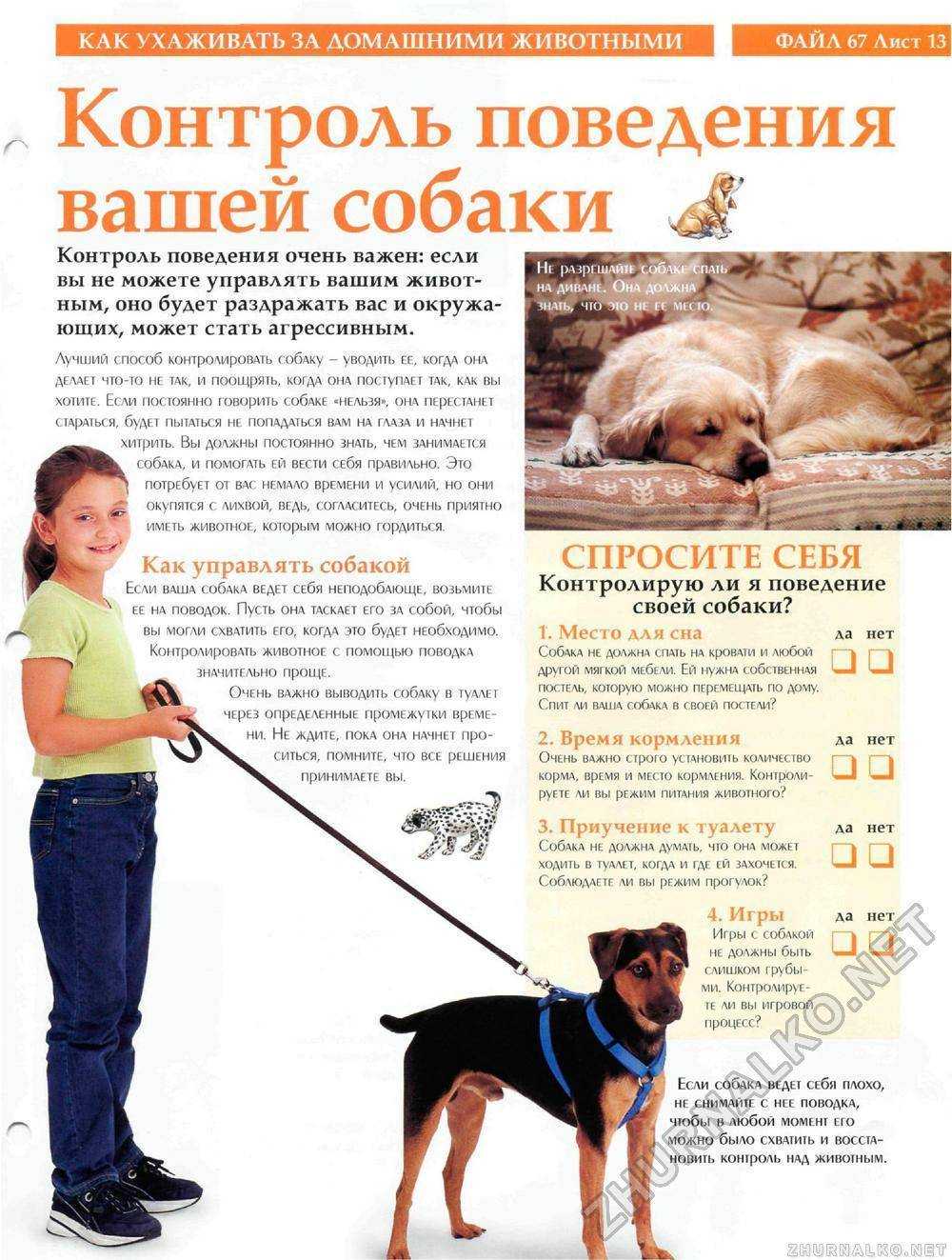 Обычный выгул собак тесно связан с процессом кормления. от того, сколько раз питомец ест, зависит частота выгула. |
            goodoger