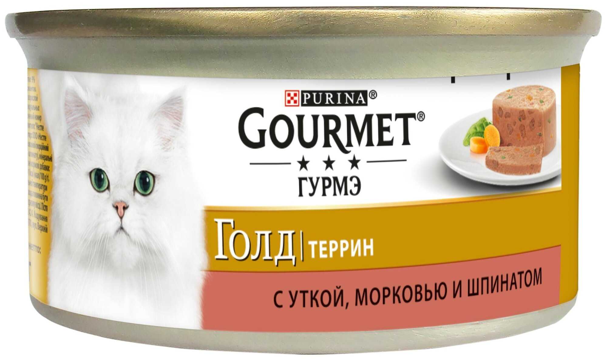 Как правильно кормить кошку — советы ветеринаров по организации правильного рациона питания у котов