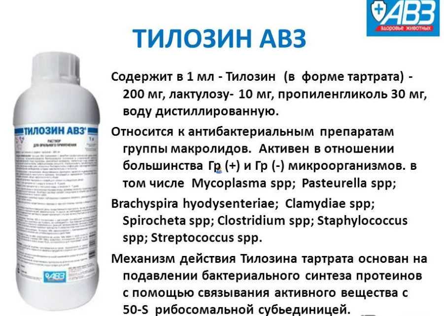 Тилозин как колоть кошке - обзортека