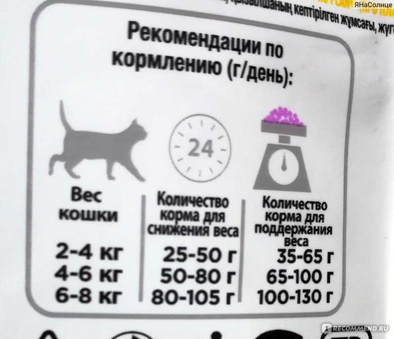 Как определяется норма сухого корма для кота