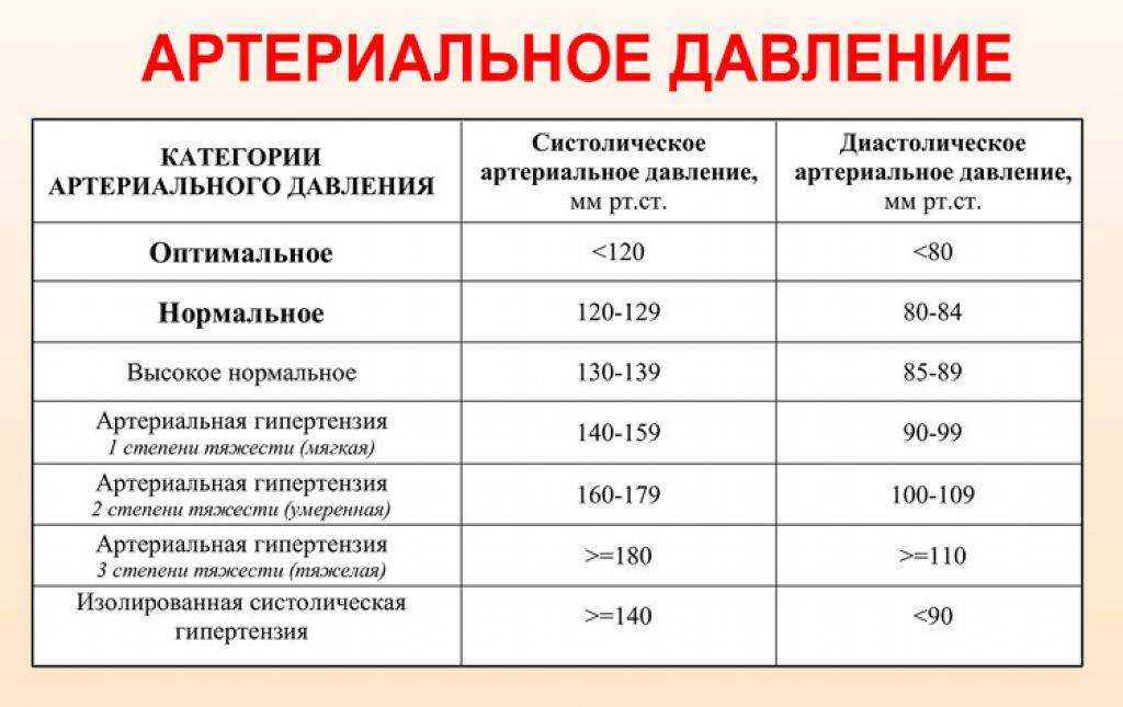 Артериальное давление у кошек