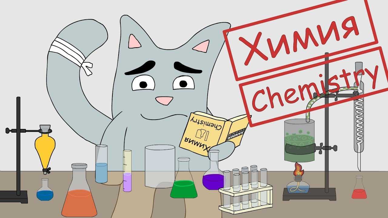 Какие запахи не переносят кошки