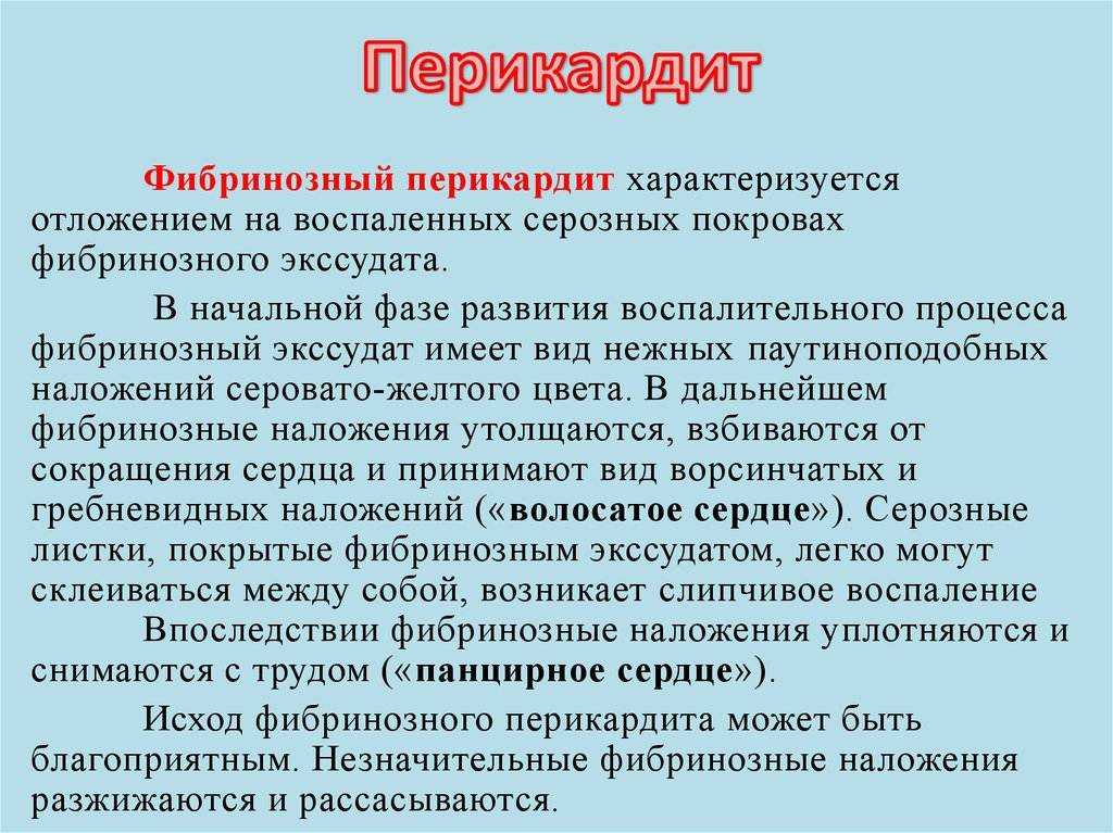 Перикардит у собак: симптомы и лечение | как лечить