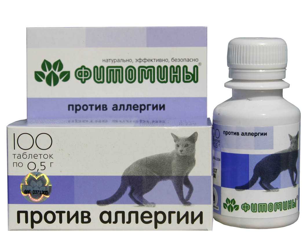 Аллергия у кошек: симптомы и лечение - zoosecrets