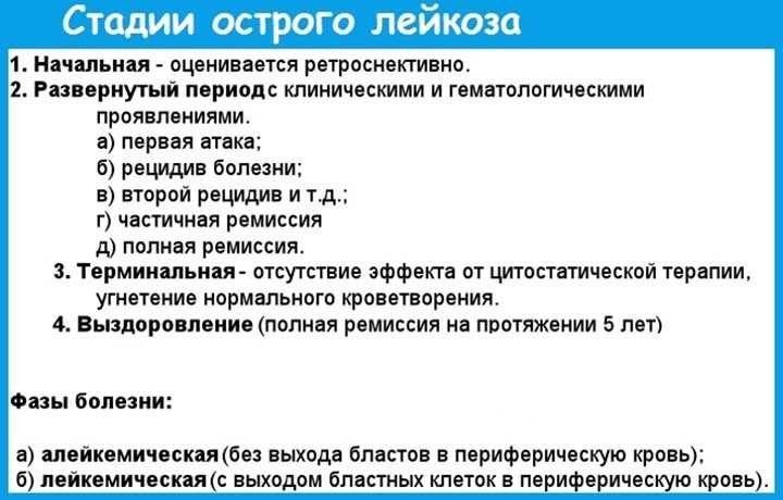 Вирусный лейкоз у собак