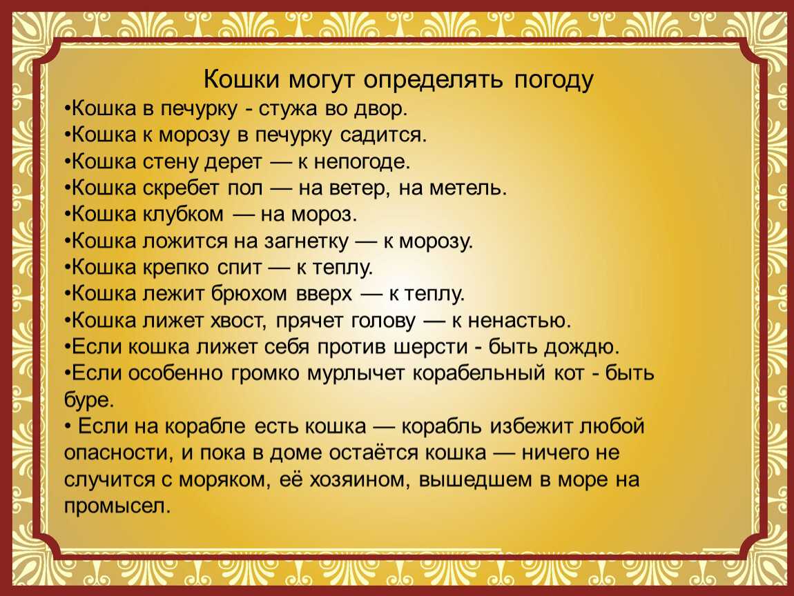 Приметы и поверья про кошек