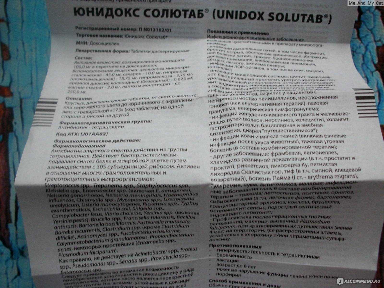«доксициклин» для кошек: инструкция по применению